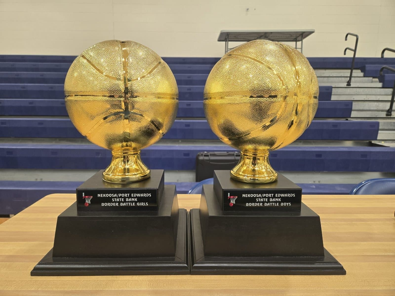 Nekoosa hoops sweep rivalry. Riverkings return home. NFL playoffs near completion.