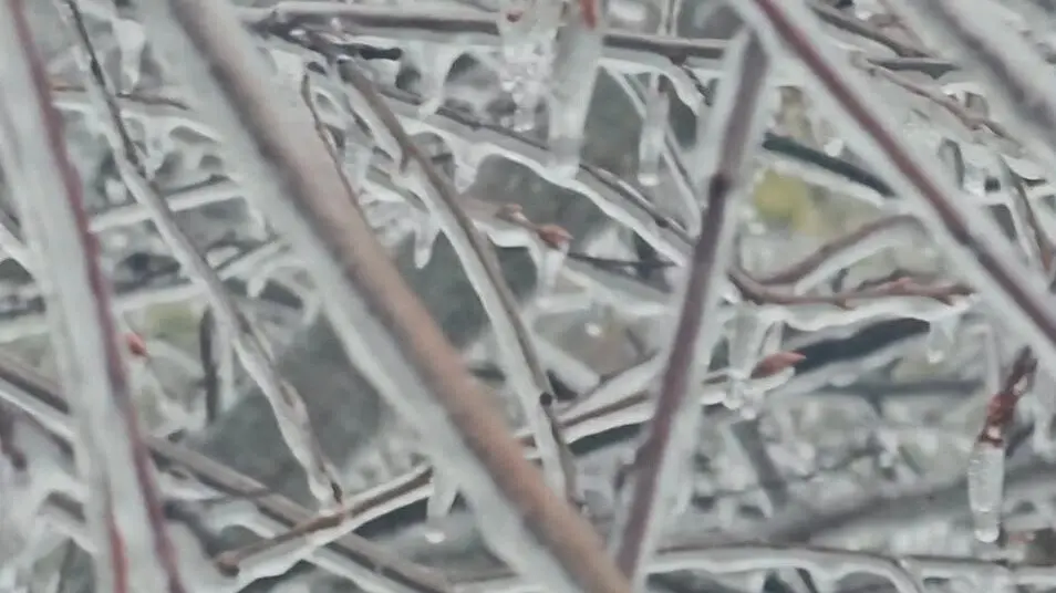 How does freezing rain and sleet form?