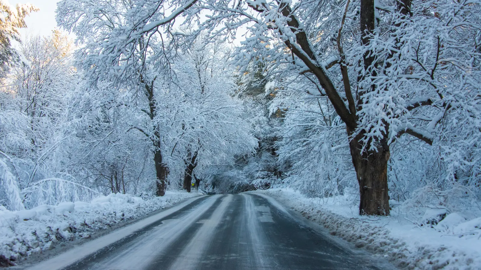 Winter storm to bring several inches of snow to Wisconsin early this week