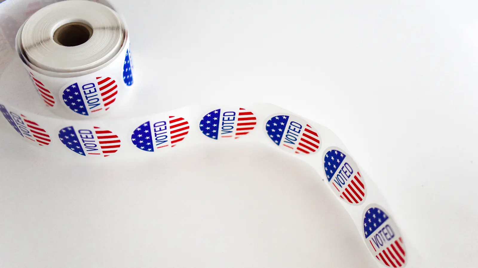 What's On Your Primary Ballot in Madison?