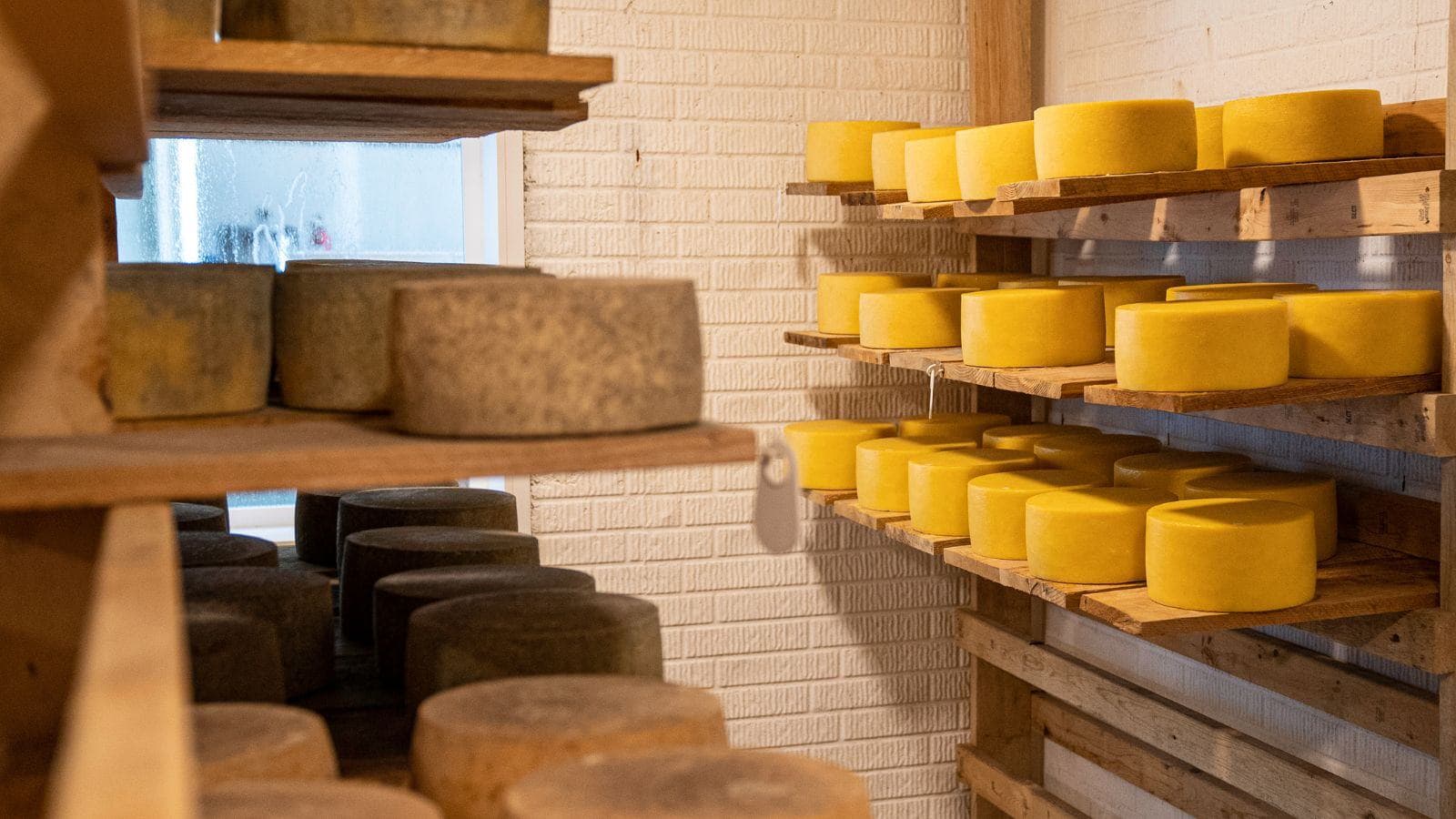 Bipartisan CURD Act seeks to define 'natural cheese'