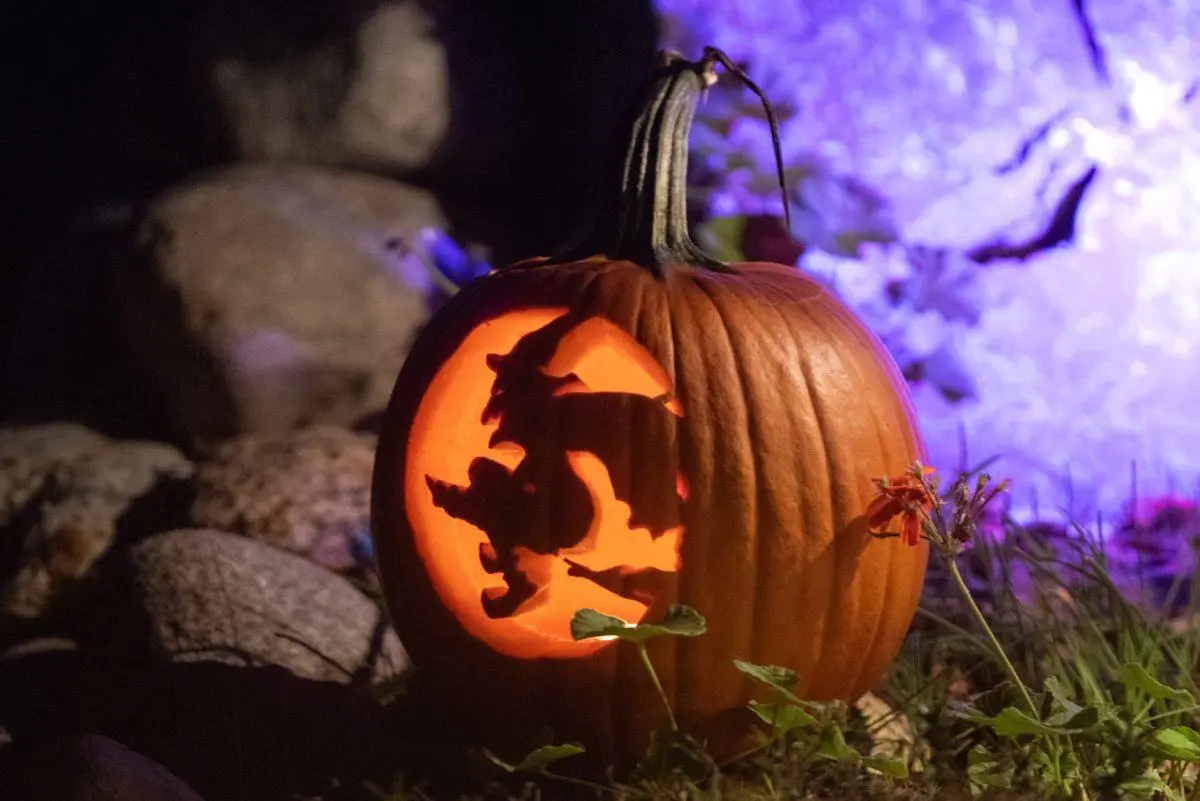Here are 8 fun and free ways to celebrate Halloween in Milwaukee