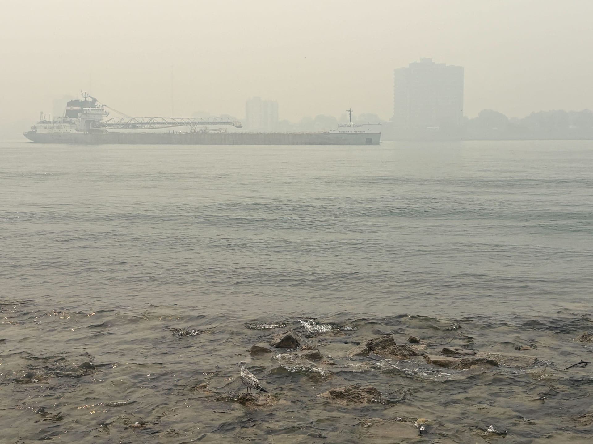 What to know as wildfires envelop Michigan in smoke (again)