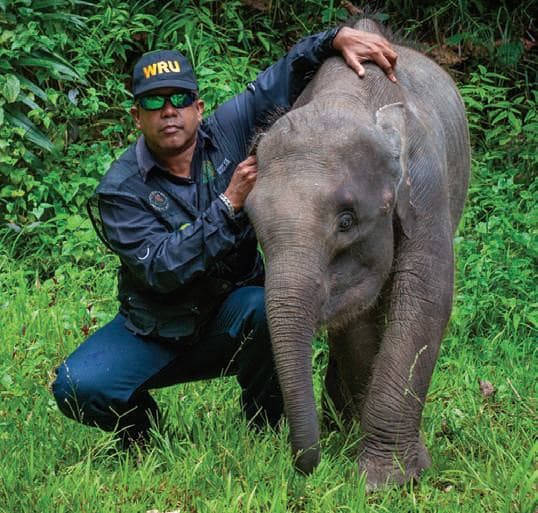Your Next Food or Cosmetic Purchase May Help These Wildlife Rescue Conservationists Save an Elephant