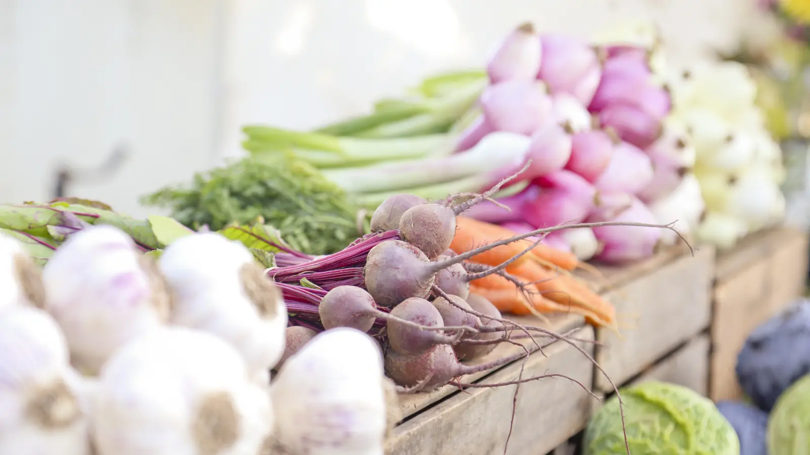 Green Bay Saturday Farmer's Market kicks off this weekend