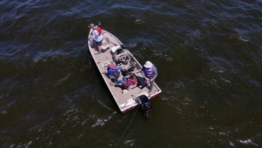 Invasive Species in Wisconsin Waters