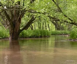 Legislative study committee begins work on Wisconsin floodplain restoration