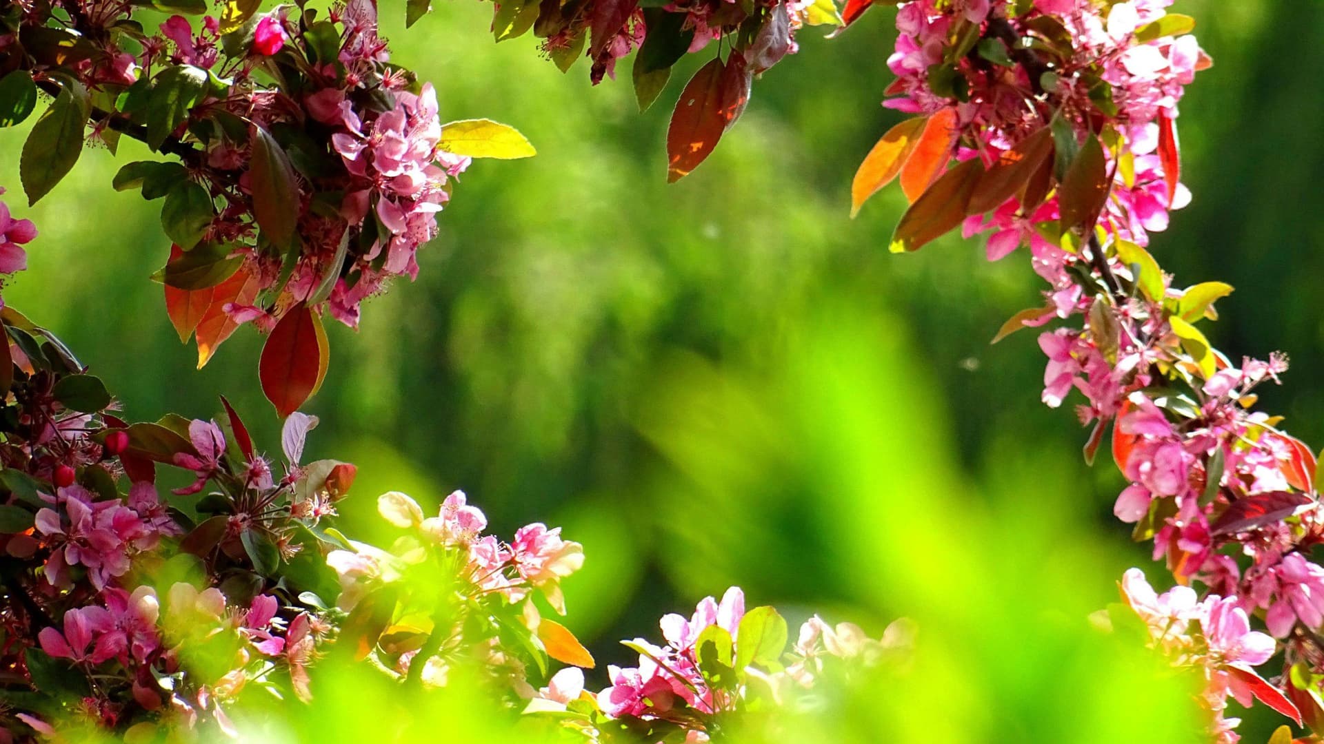 Monk Botanical Gardens Executive Director Steps Down