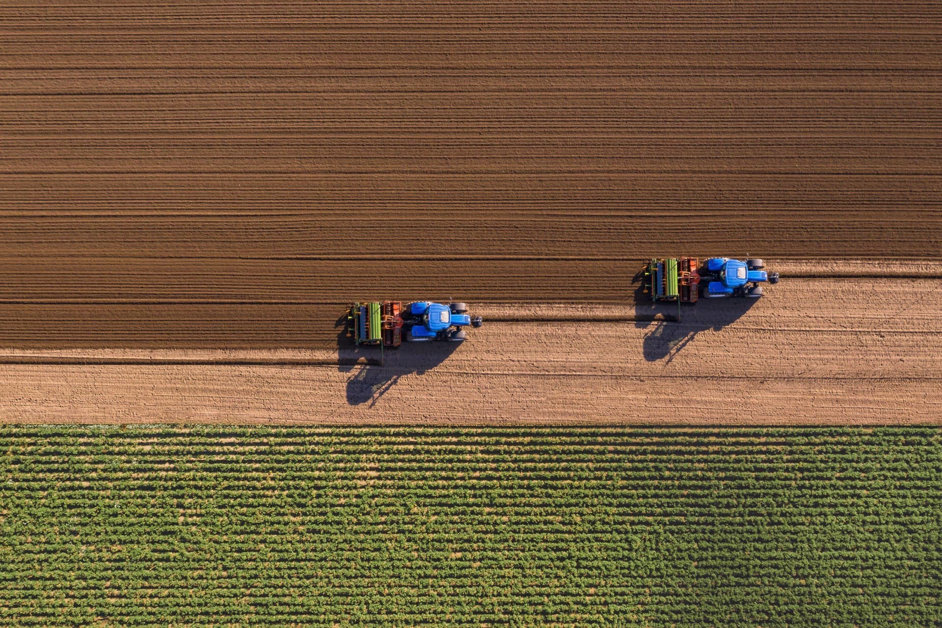 What’s driving the financial crisis on Minnesota farms?