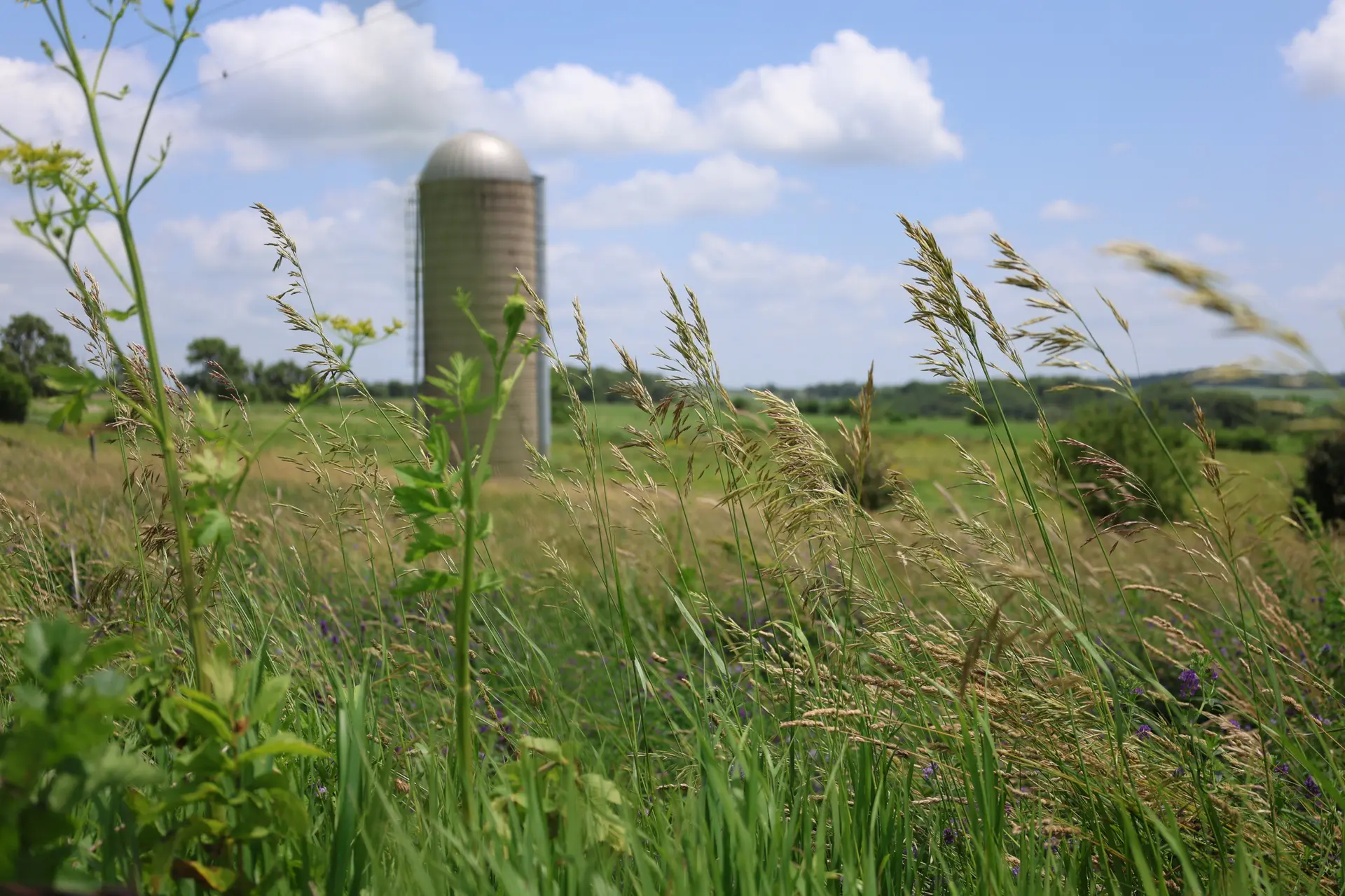 Commentary: Data Centers Aren’t the Only Threat to Farmland