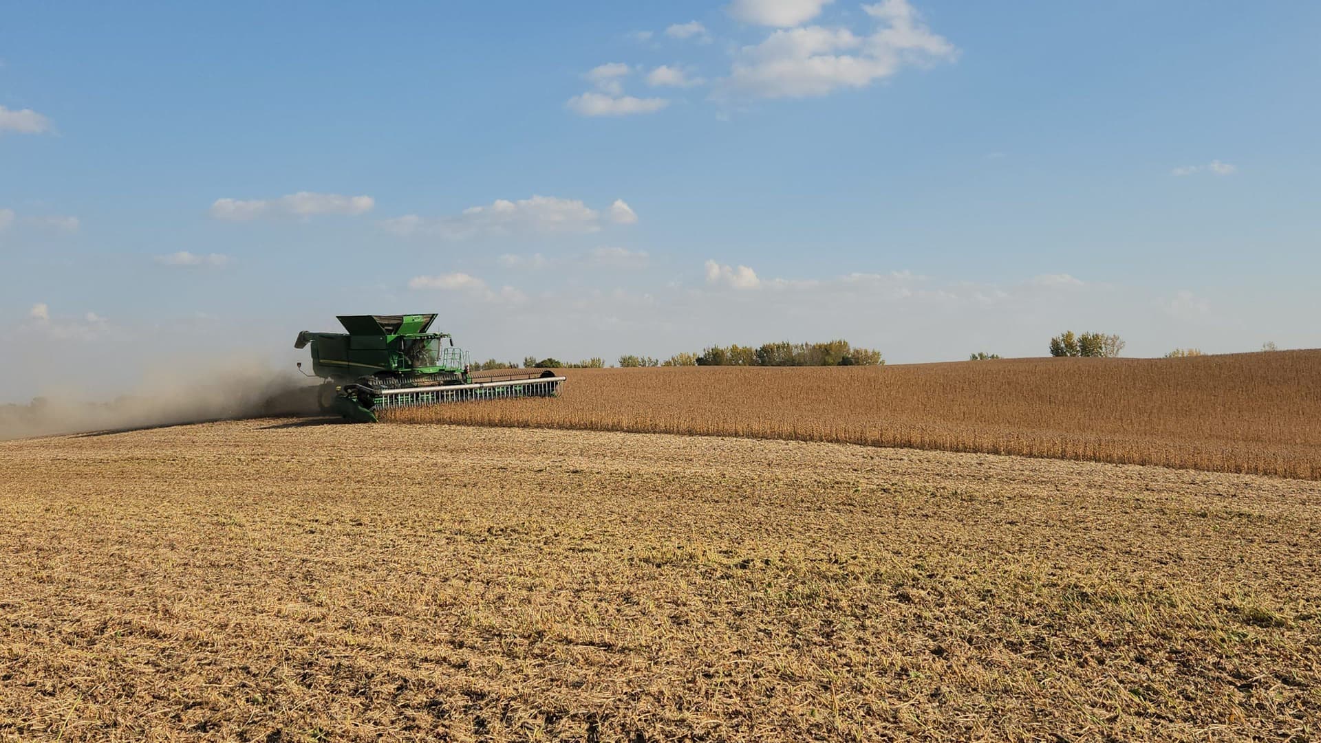 Minnesota bankruptcies rise as a ‘perfect storm’ of challenges roils farm country