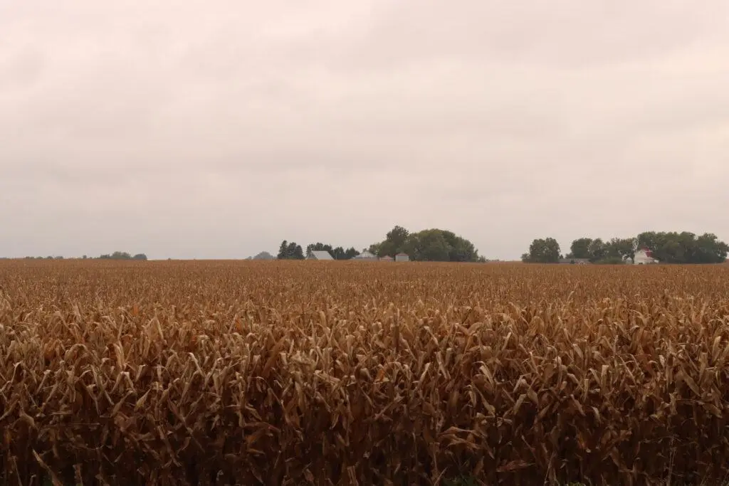 Iowa farmers behind on harvest as wet September comes to close