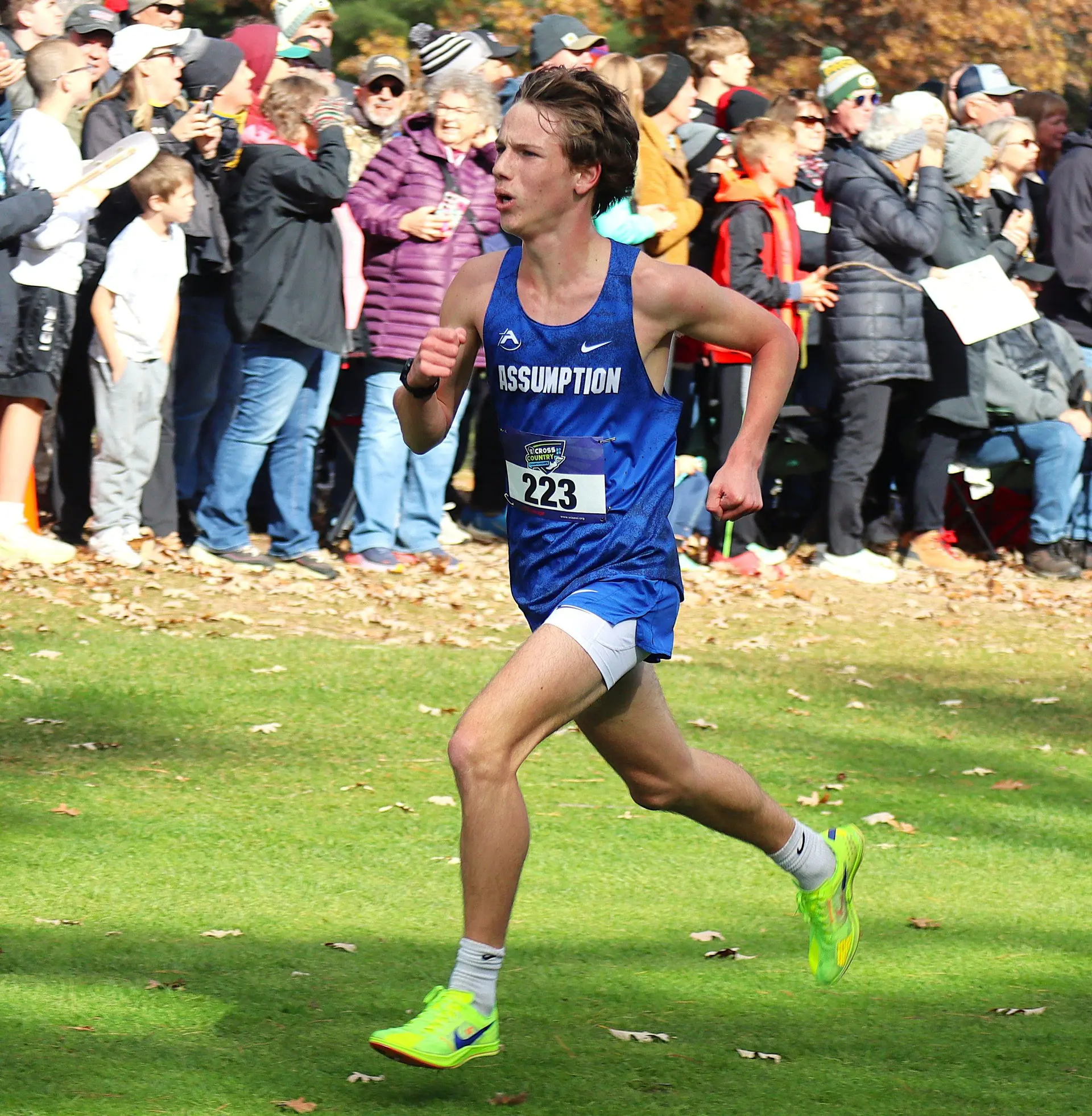 AHS Boys Cross Country to run at state