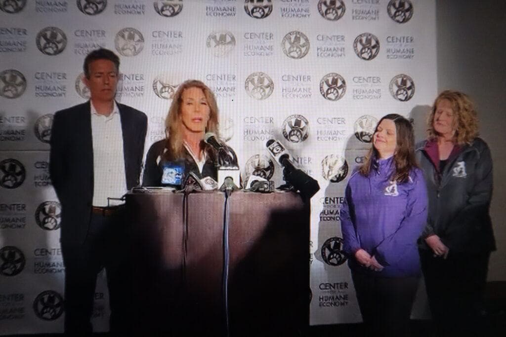 1,500 Ridglan beagles purchased by animal welfare groups as activist faces criminal charges