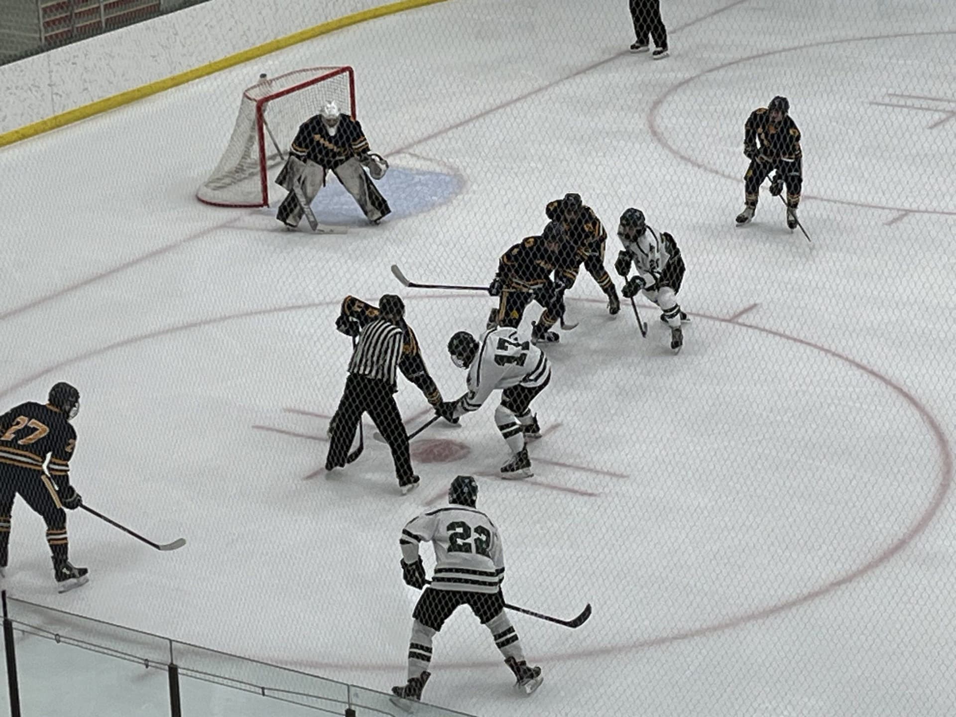This week in HS hockey: Back into the conference grind; very busy time for Wausau West; Storm continue their homestand.