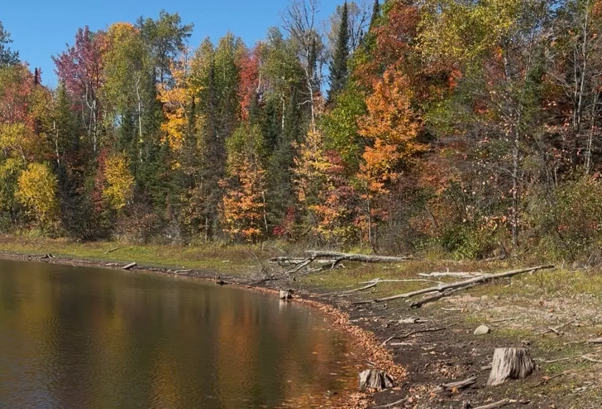 Federal disaster loans available for northern Wisconsin businesses impacted by drought