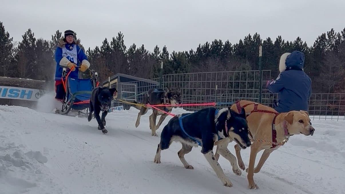 Northern Pines Sled Dog Race draws 50 teams