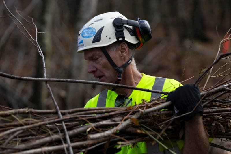 An Ecosystem Engineer’s Vision: Mock Beaver Dams to Restore Wisconsin Wetlands