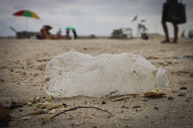 Kenosha beach cleanup aims to remove plastic litter from shoreline