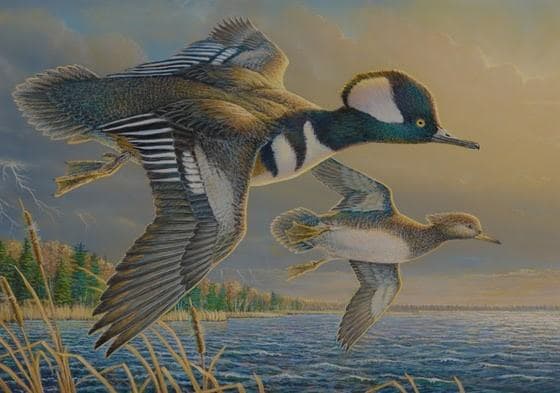 Local Artist Among Stamp Design Winners