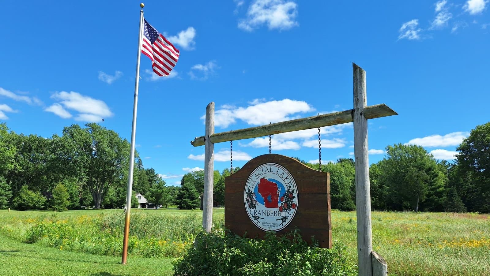 Cranberries In Wisconsin