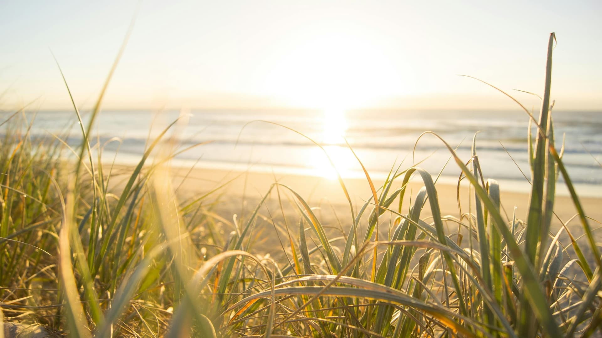 Temps Surge Towards Summer: Heat & Humidity Hit Soon