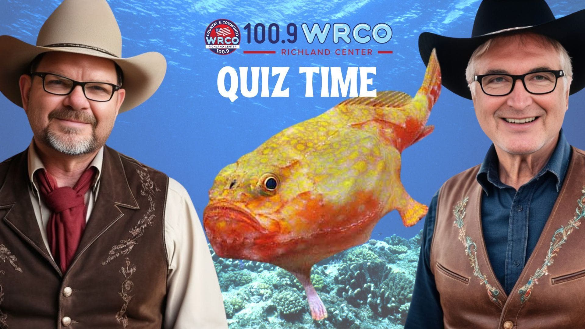 From the Bee Gees to the pink frogmouth fish, it's quiz day!