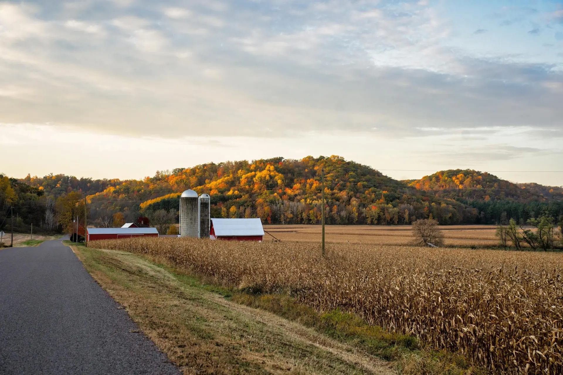7th Congressional District candidates discuss tariffs, future of family farms at town hall