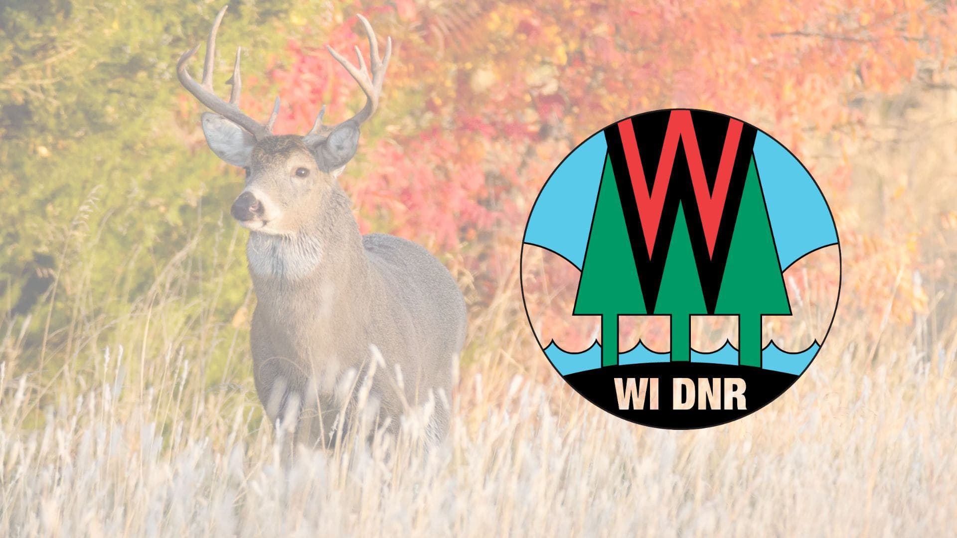 DNR reminders as hunting season draws near