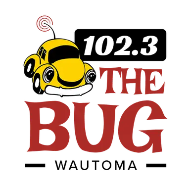 102.3 The Bug