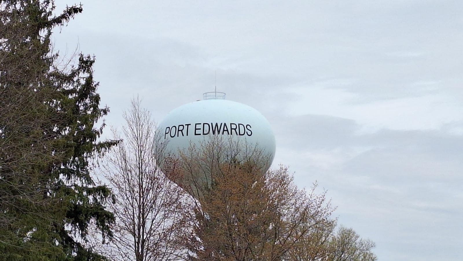 Primary Election - Port Edwards Village President