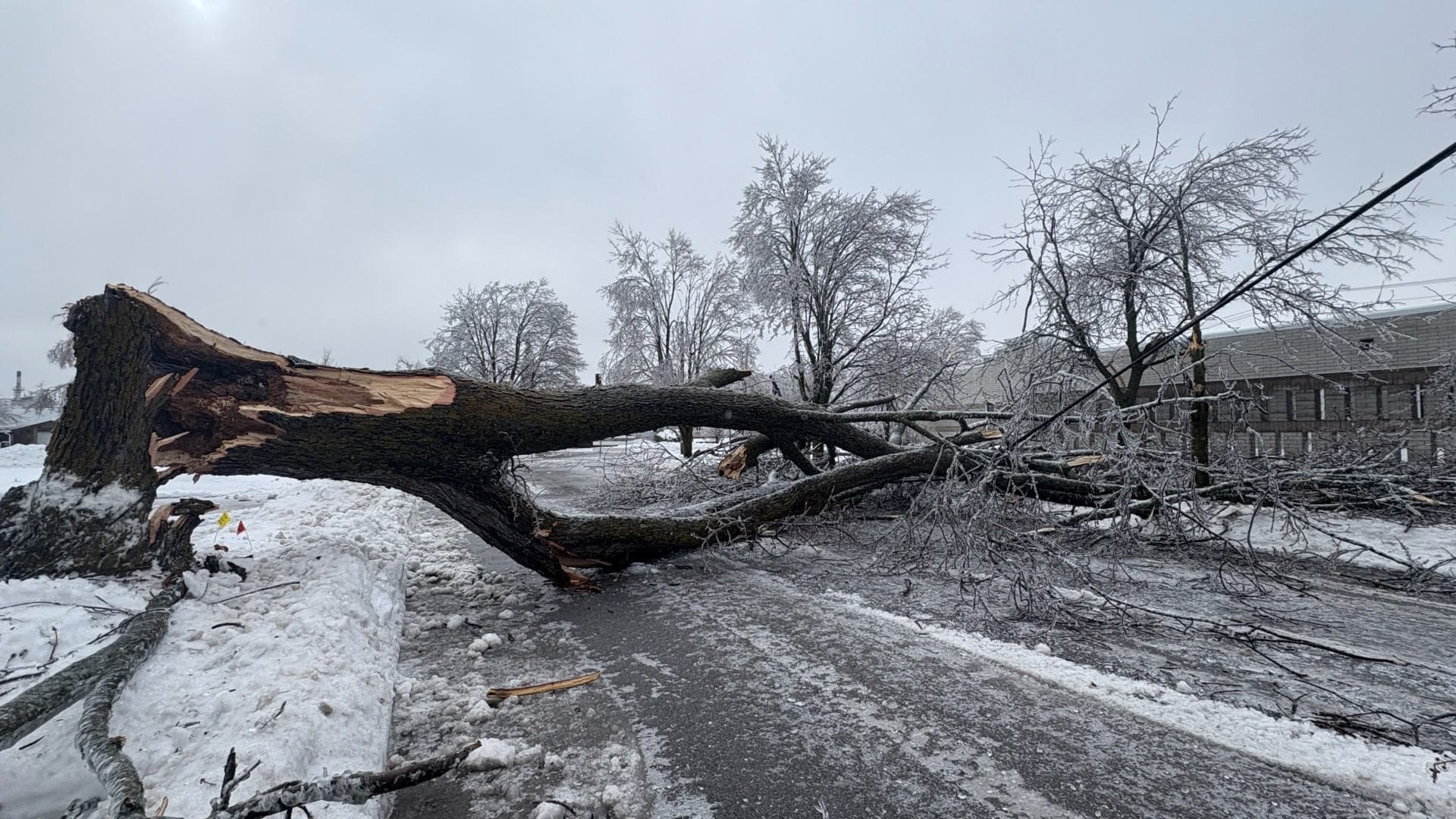 Northern Michigan digs out of another devastating winter storm