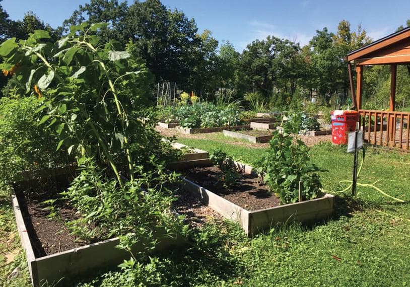 Looking to Save on Food? Here’s a Way to Grow Your Own or Buy Affordable Local Produce