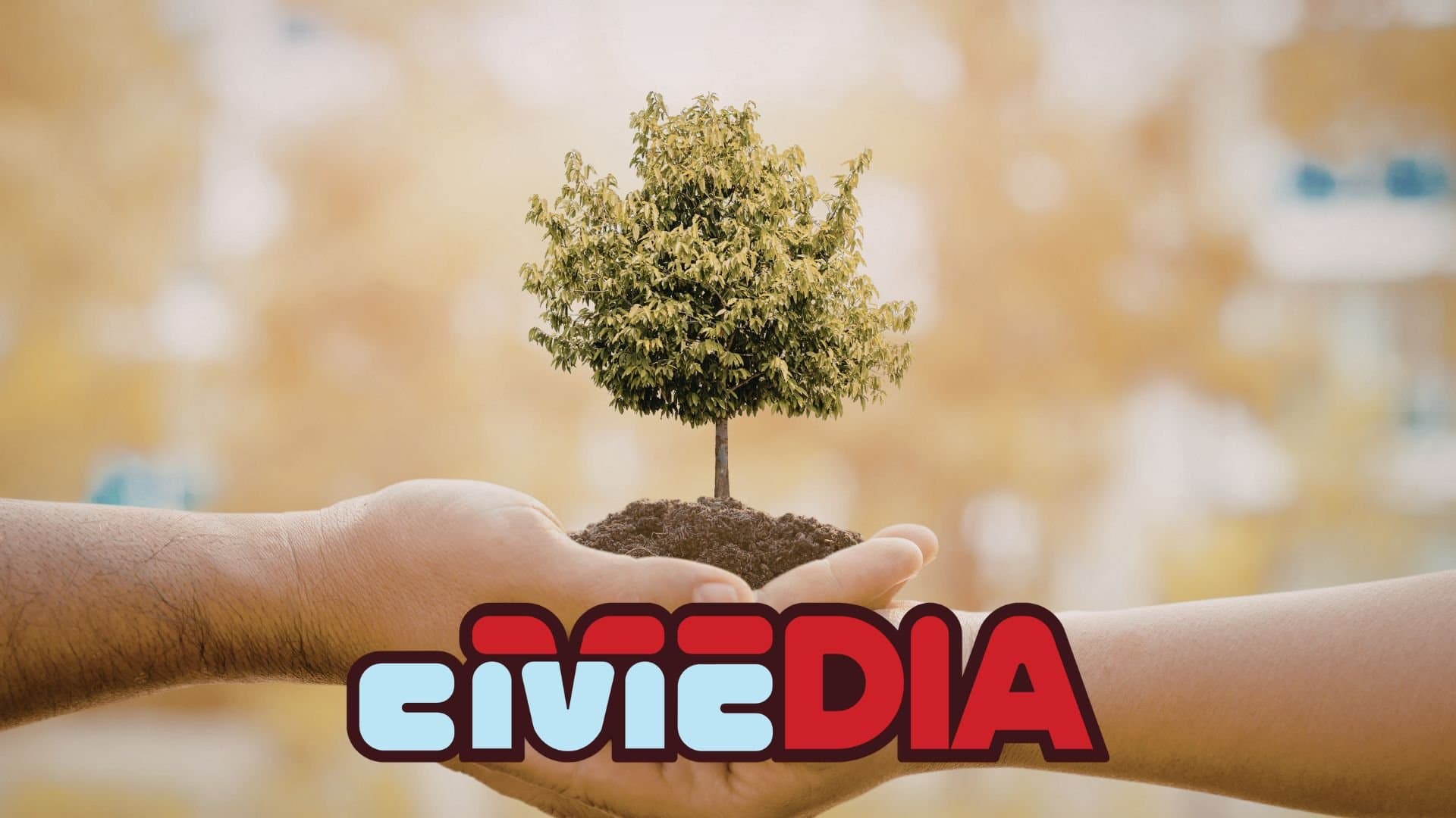 Update on Wisconsin’s "Trillion Trees Pledge"