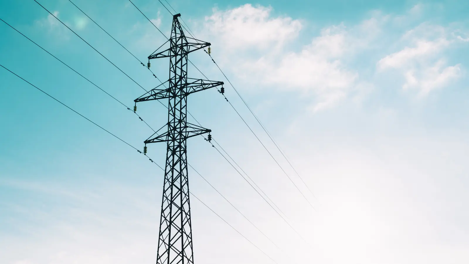 "NATURE ON THE LINE," a public forum centered on discussing the critical environmental and geological risks associated with two high-voltage power line developments
