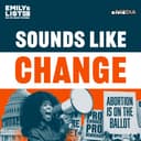 Abortion is on the Ballot with Christina Reynolds