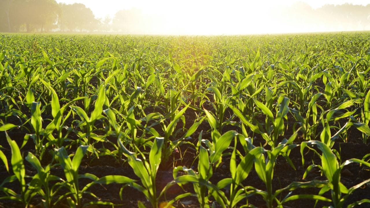 Wisconsin Farmers Union on state budget: "wins for family farmers, but also losses"