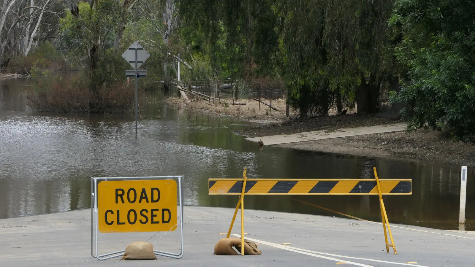 Appleton releases flooding recovery resource