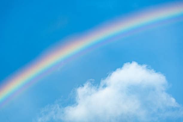 The Place Where the Rainbow Never Ends A brick, a beach, and a lesson that never stopped moving