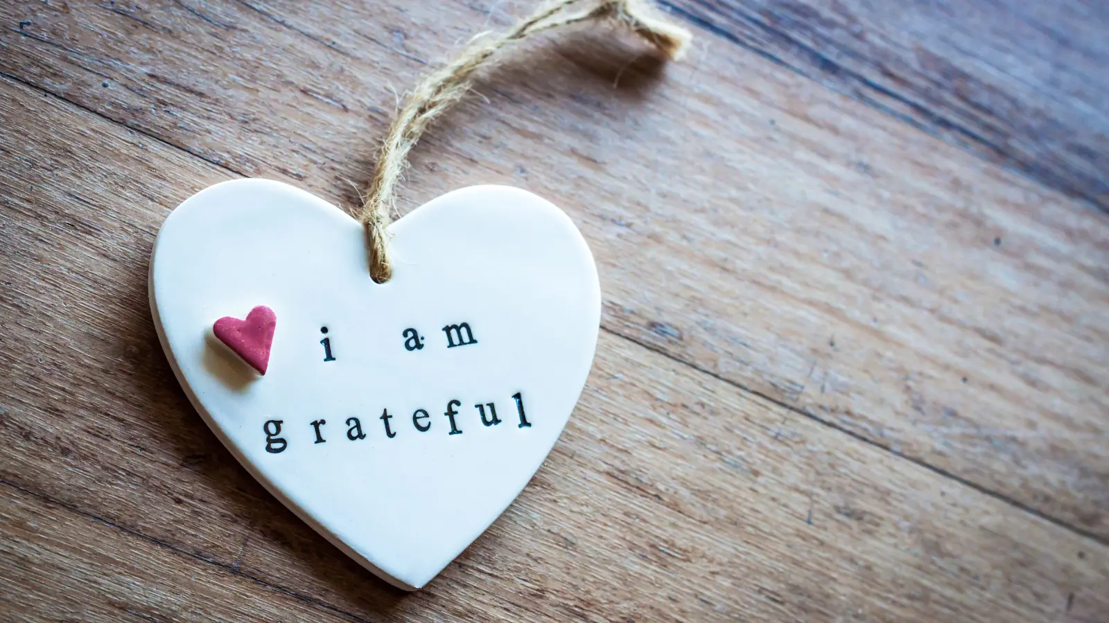 Stacy Ryan shines a light on gratitude in books and podcasts