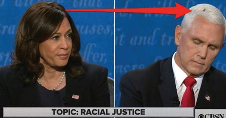 Harris and Pence Spar Over Economy and Race in VP Debate