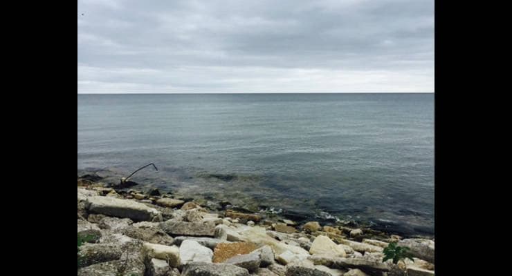 Waukesha Has a Water Problem, Should Lake Michigan Be the Solution?