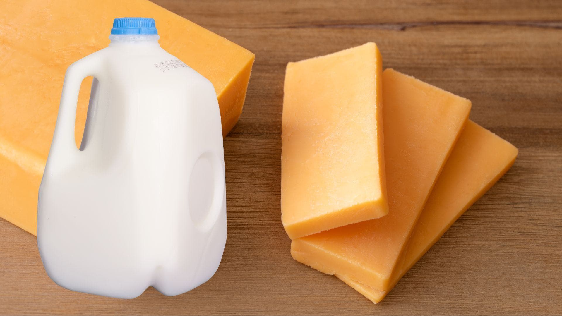 "Milk into Cheese" donations to purchase 10,000 pounds of milk