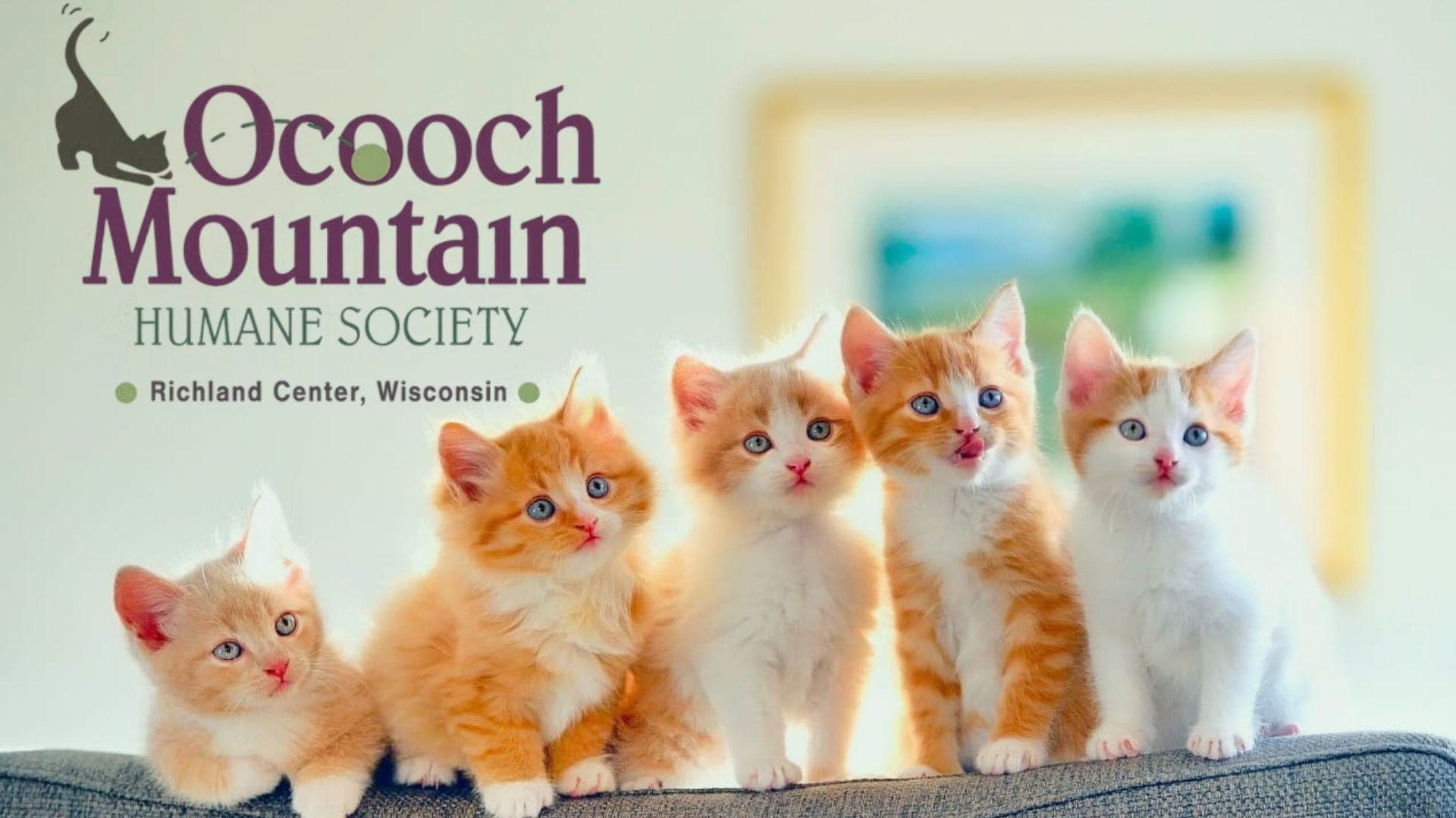 The Ocooch Mountain Humane Society held a meeting, addressed concerns