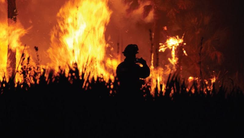 Uncontained Wildfires Ravage Los Angeles, Displacing Thousands: How to Help