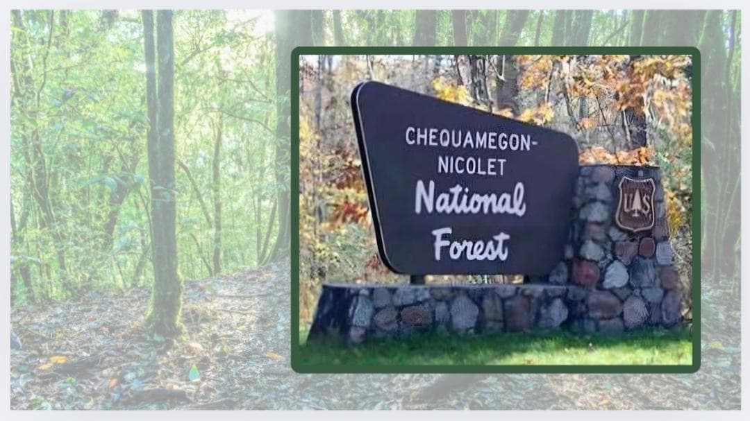 Former Forest Service Chief Calls Out Trump's Logging "Emergency"