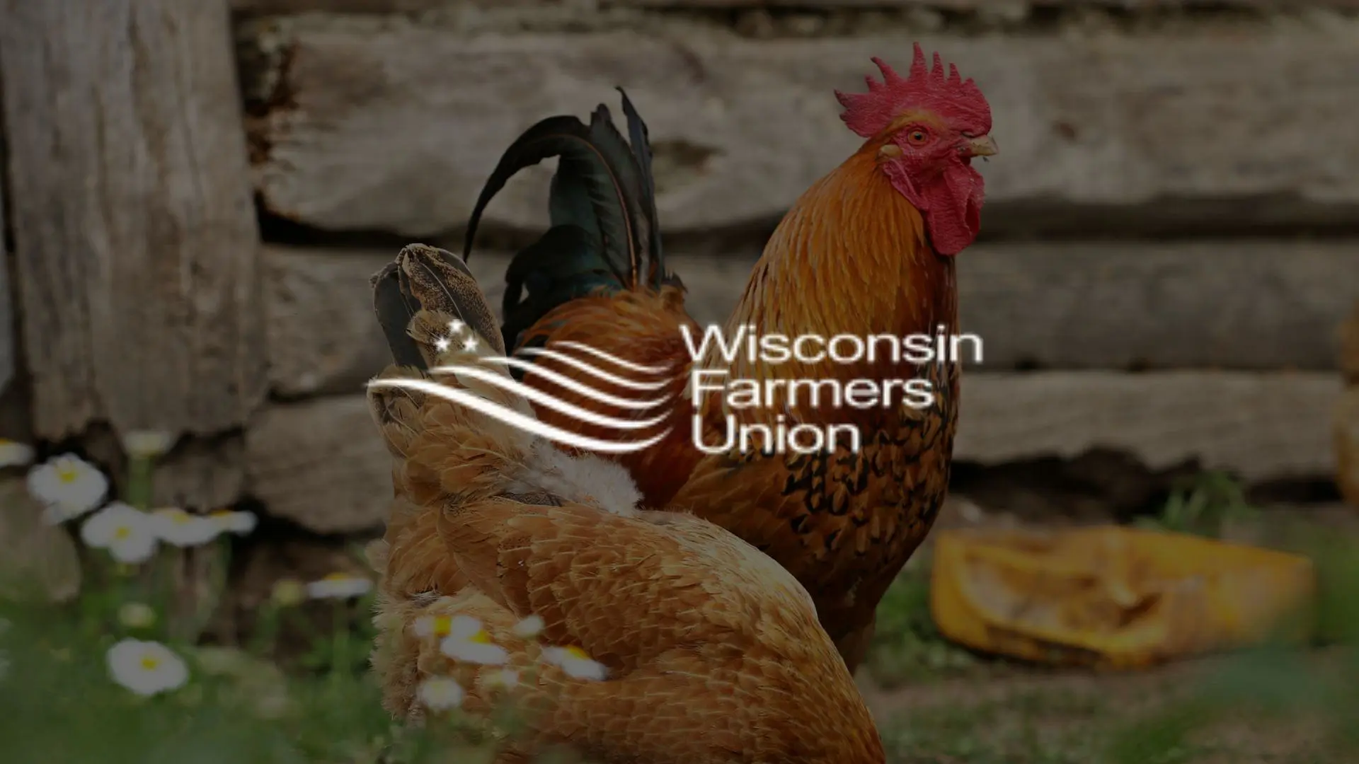 The Vernon-Crawford Chapter of the Wisconsin Farmers Union will hold a Candidate Townhall and Harvest Dinner on Frida