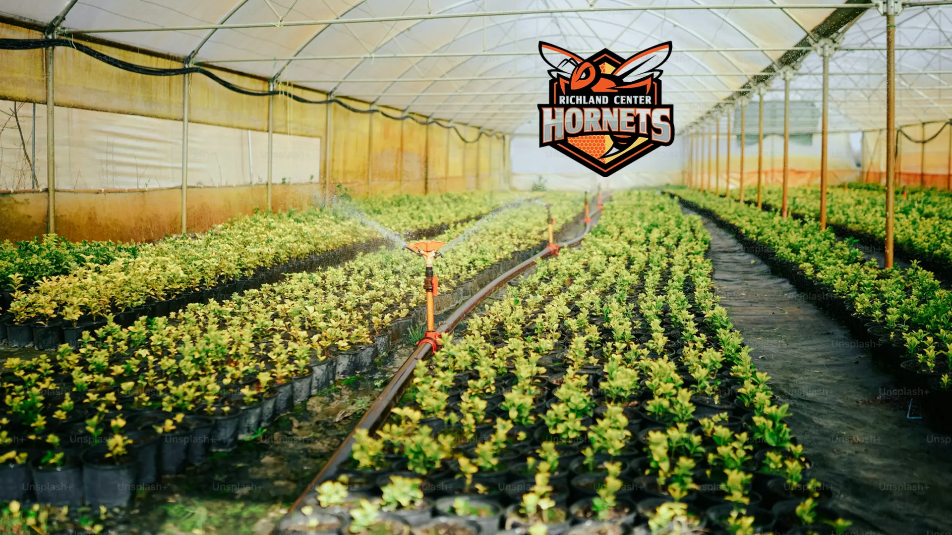 RCHS FFA plant sale to be held