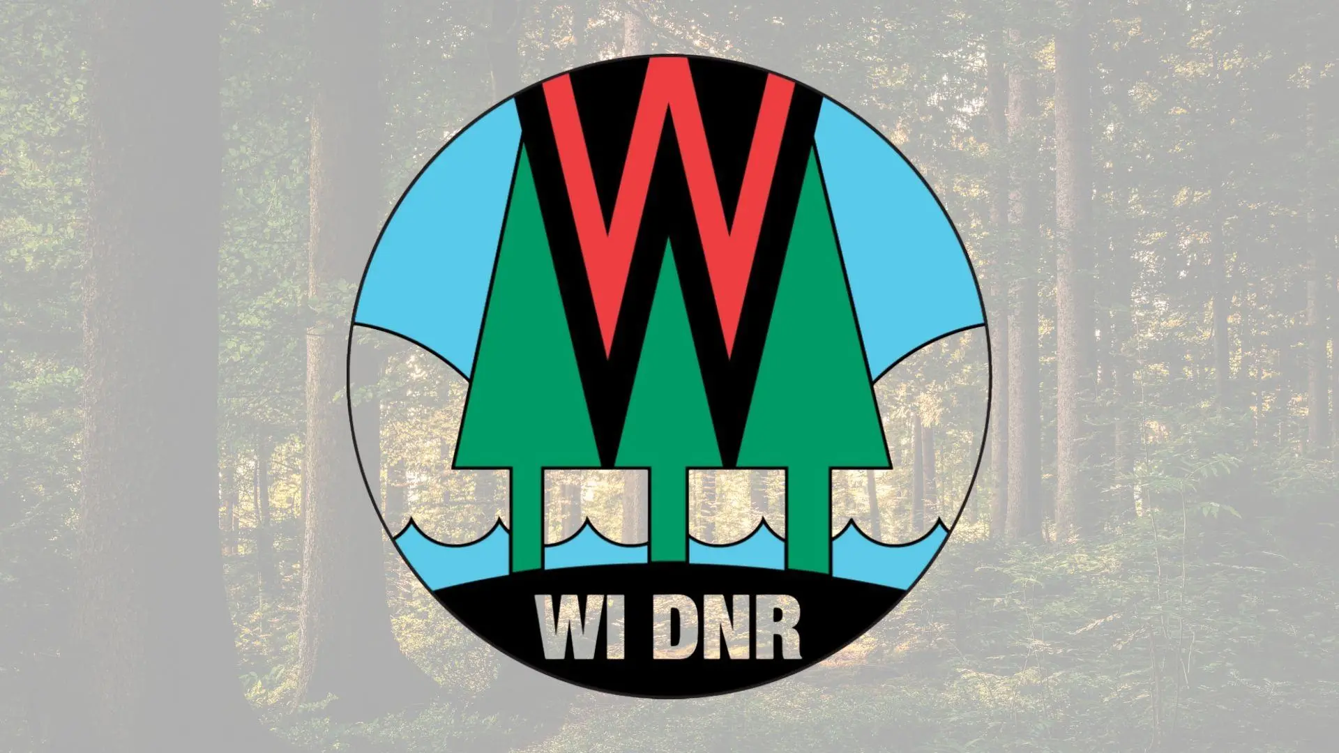 wrco-dnr-woods