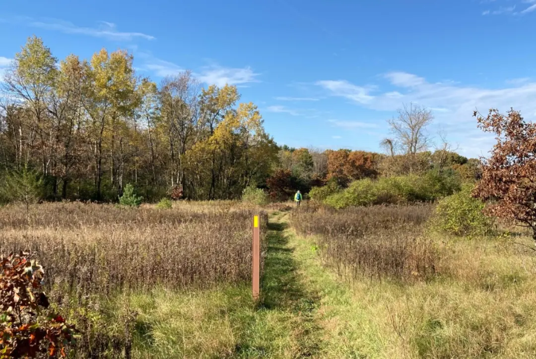 29th Annual Fall Color Celebration